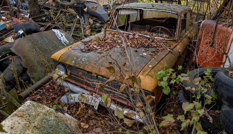 Брошенные машины, найденные на дачном участке (10 фото)