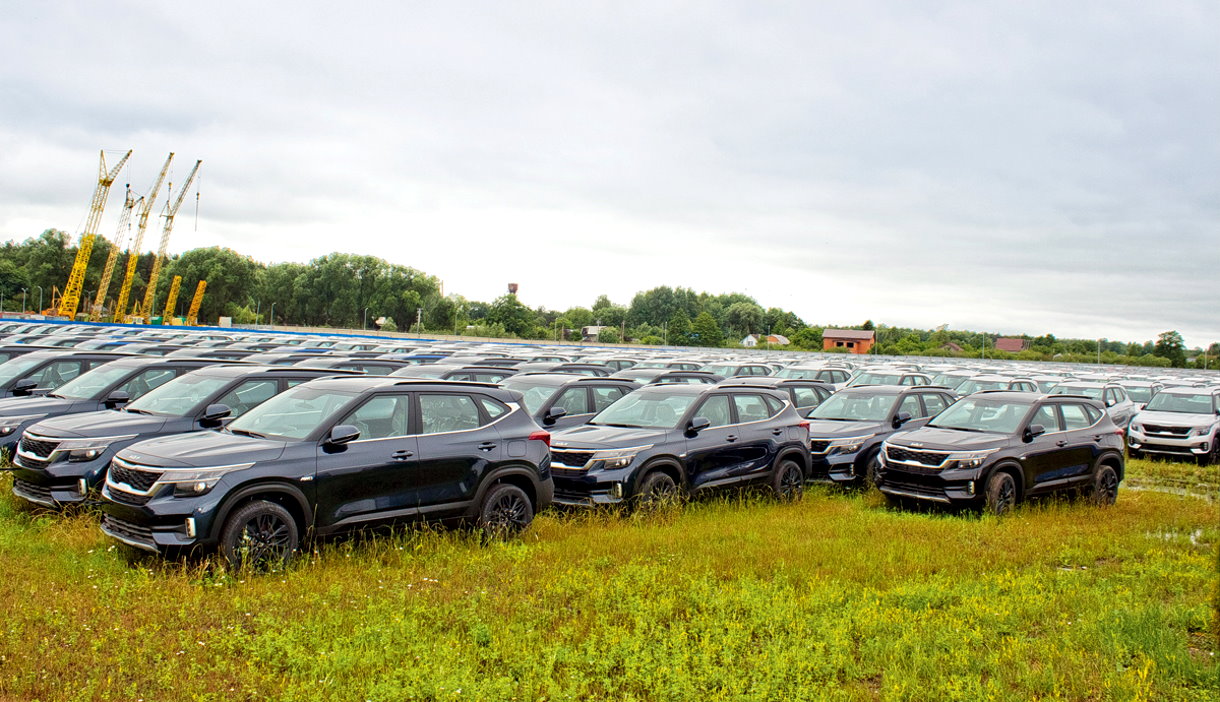 В Калининграде нашли стоянку с сотнями некомплектных автомобилей Киа. Откуда они взялись?