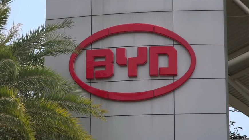 BYD-4.webp